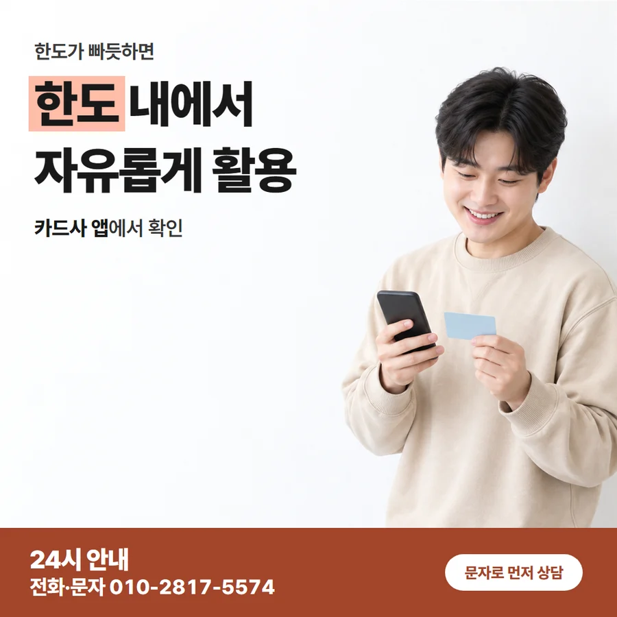 필요한 현금 정하기 카드 — 한도 내에서 자유롭게 활용, 카드사 앱에서 확인